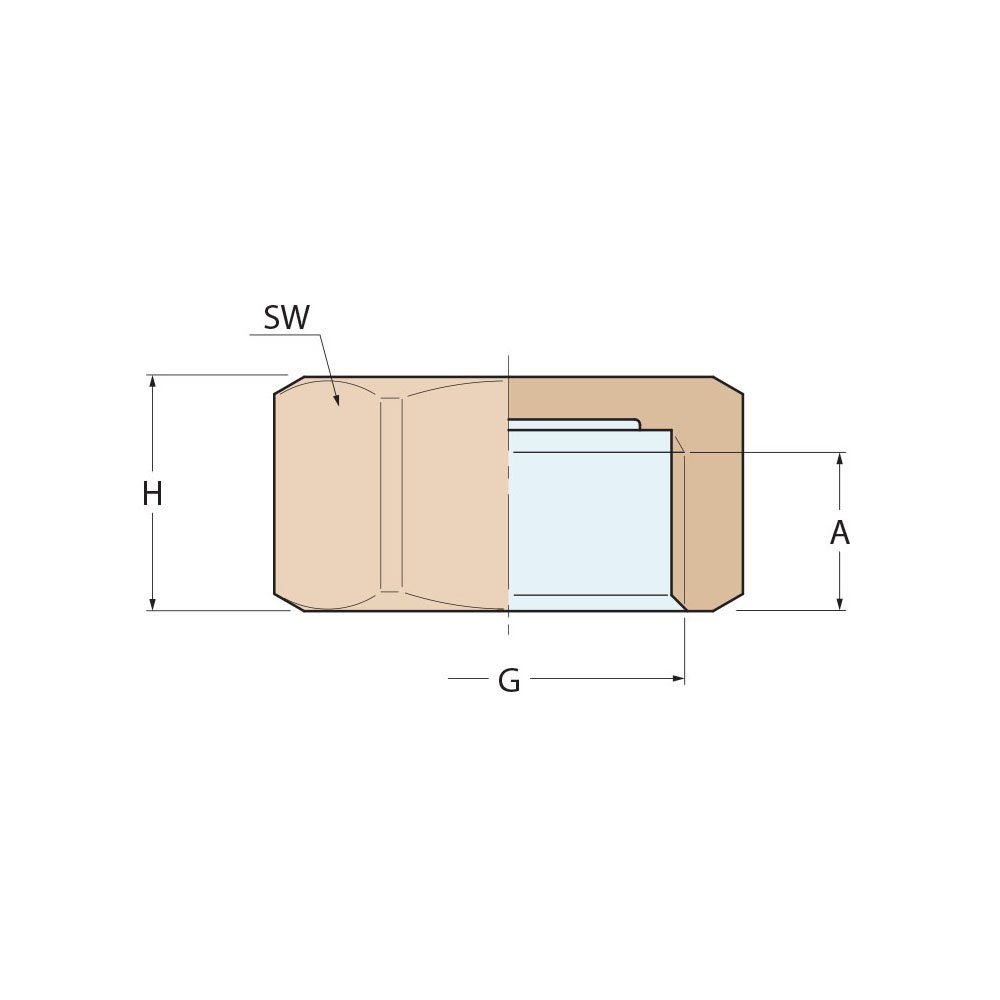 Technical Diagram: Guidi Bronze Cap F 3/8 in Technical Diagram: Guidi Bronze Cap F 3/8 in