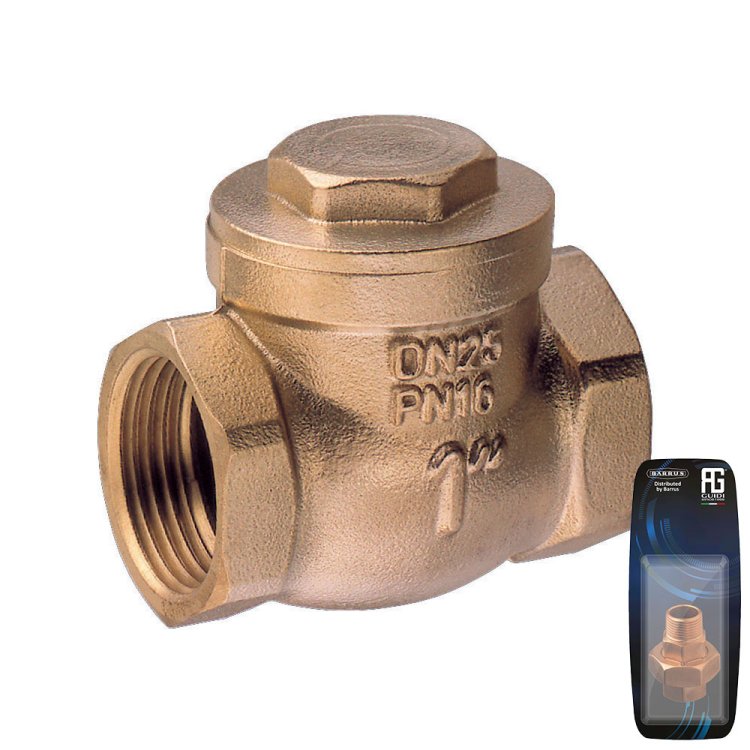 Guidi Brass Swing Check Valve 2 in - Retail Packed