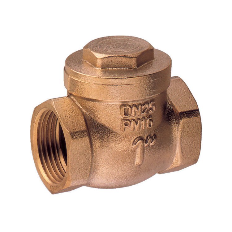 Guidi Bronze Swing Check Valve 2 in 1/2 Guidi Bronze Swing Check Valve 2 in 1/2