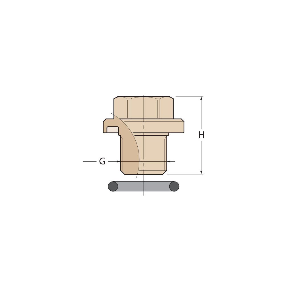 Technical Diagram: Guidi Bronze Strainer Drain Plug with O-Ring -DN250 Technical Diagram: Guidi Bronze Strainer Drain Plug with O-Ring -DN250
